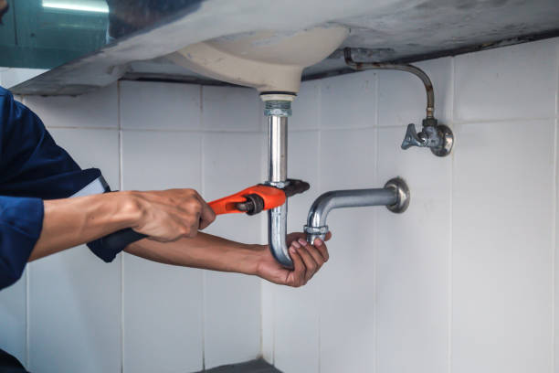 Best Faucet Repair  in Agler Estates, FL