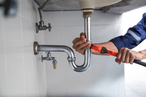 Best Water Softener Installation  in Agler Estates, FL