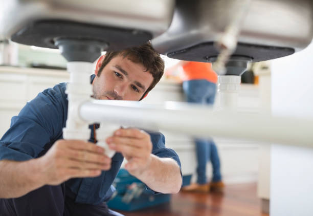 Best Sprinkler Systems  in Agler Estates, FL