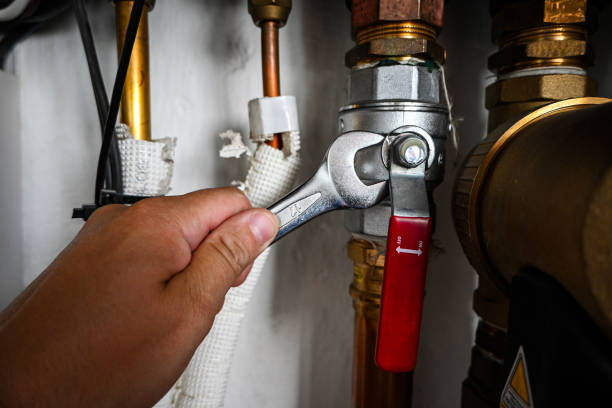 Best Pipe Repair Near Me  in Agler Estates, FL